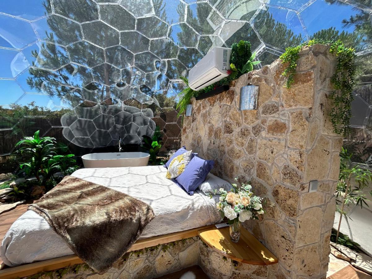 Skd Suite Garnacha Avila Exterior photo